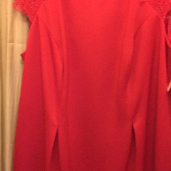 Alex evenings - Picture 11 of 15